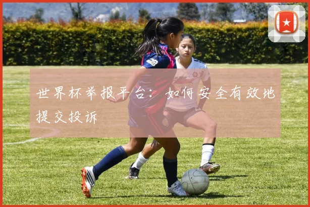 世界杯举报平台：如何安全有效地提交投诉