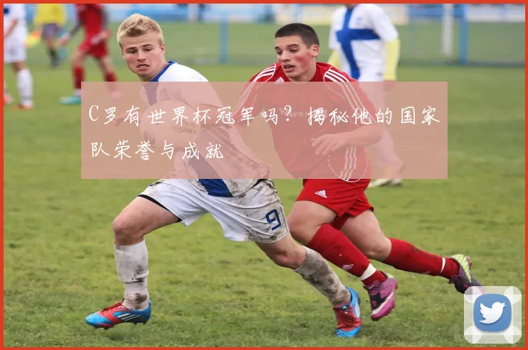 C罗有世界杯冠军吗？揭秘他的国家队荣誉与成就